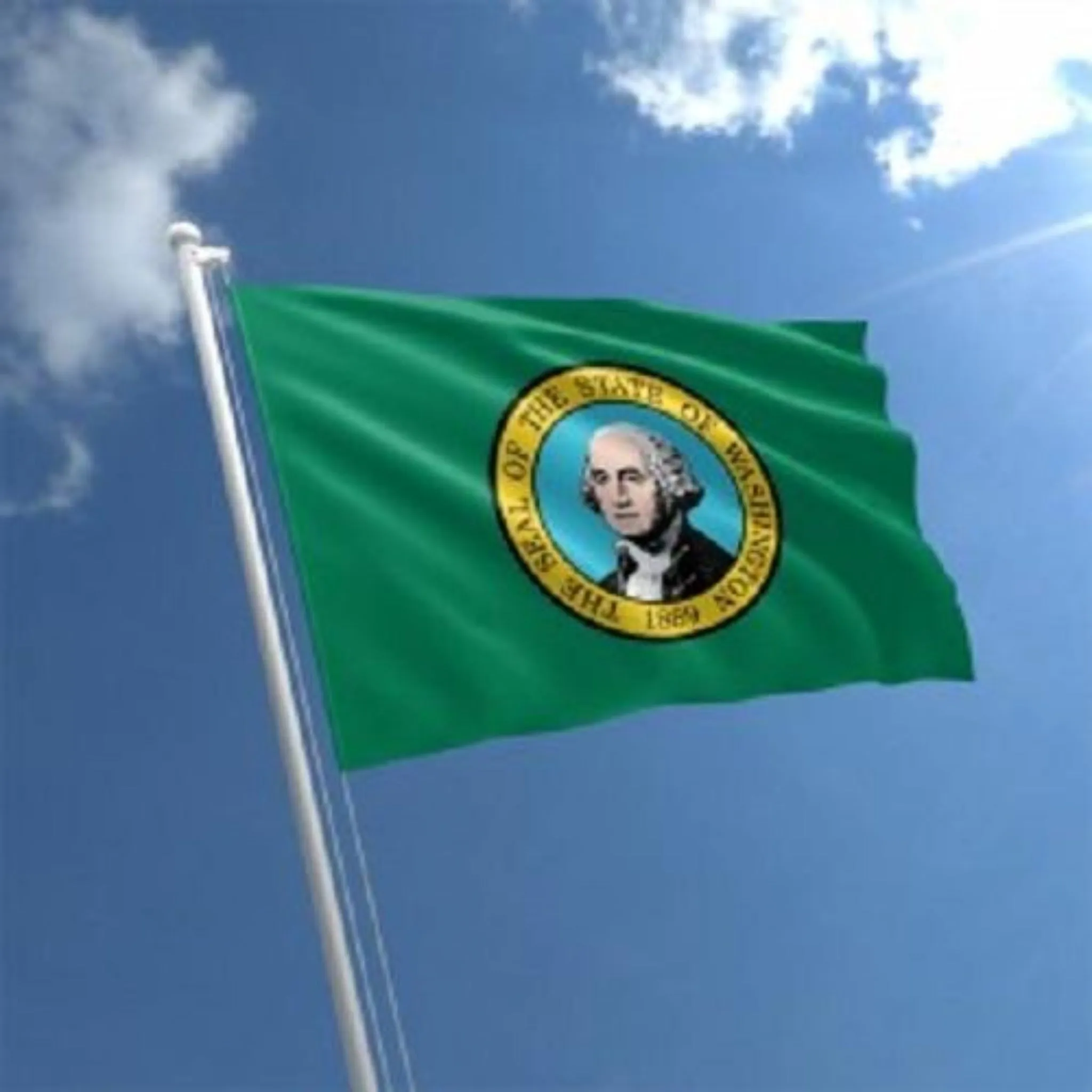 Washington Outdoor State Flag - #402837